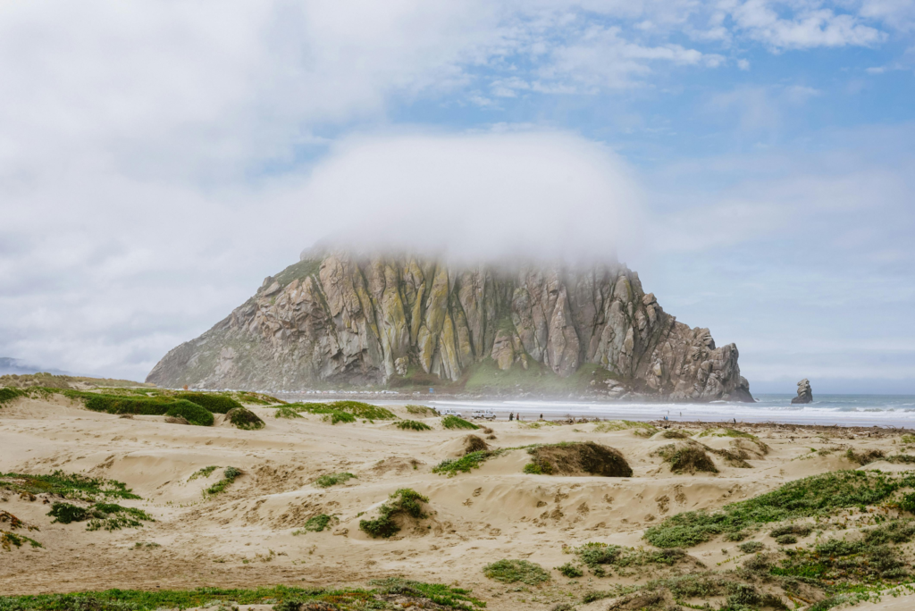 Morro Rock wrapped in low cloud beyond grassy sand dunes