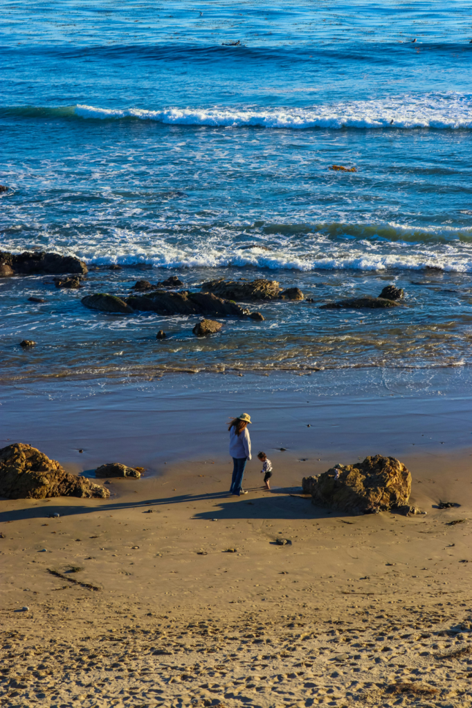A parent and small child at the water's edge on a rocky beach