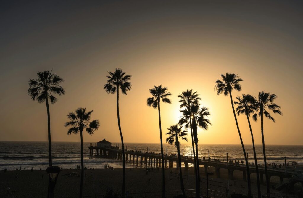 Palm trees silhouetted against the sunset beside an ocean pier