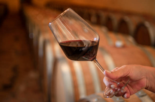 A hand holding a glass of red wine in a barrel room